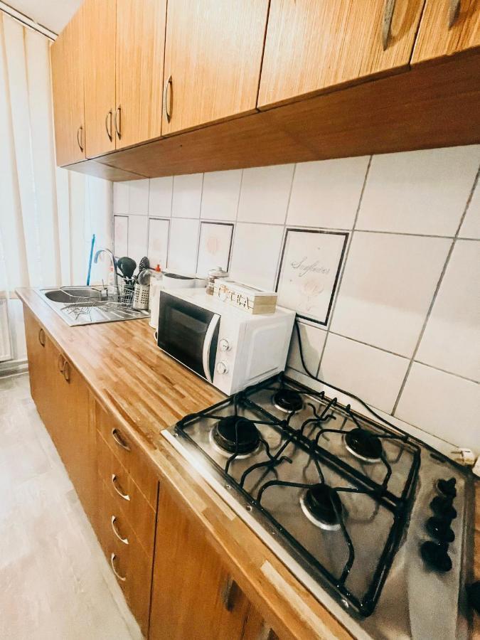 Ultracentral Big Apartment - Near The Opera Square P17 Timișoara Zewnętrze zdjęcie